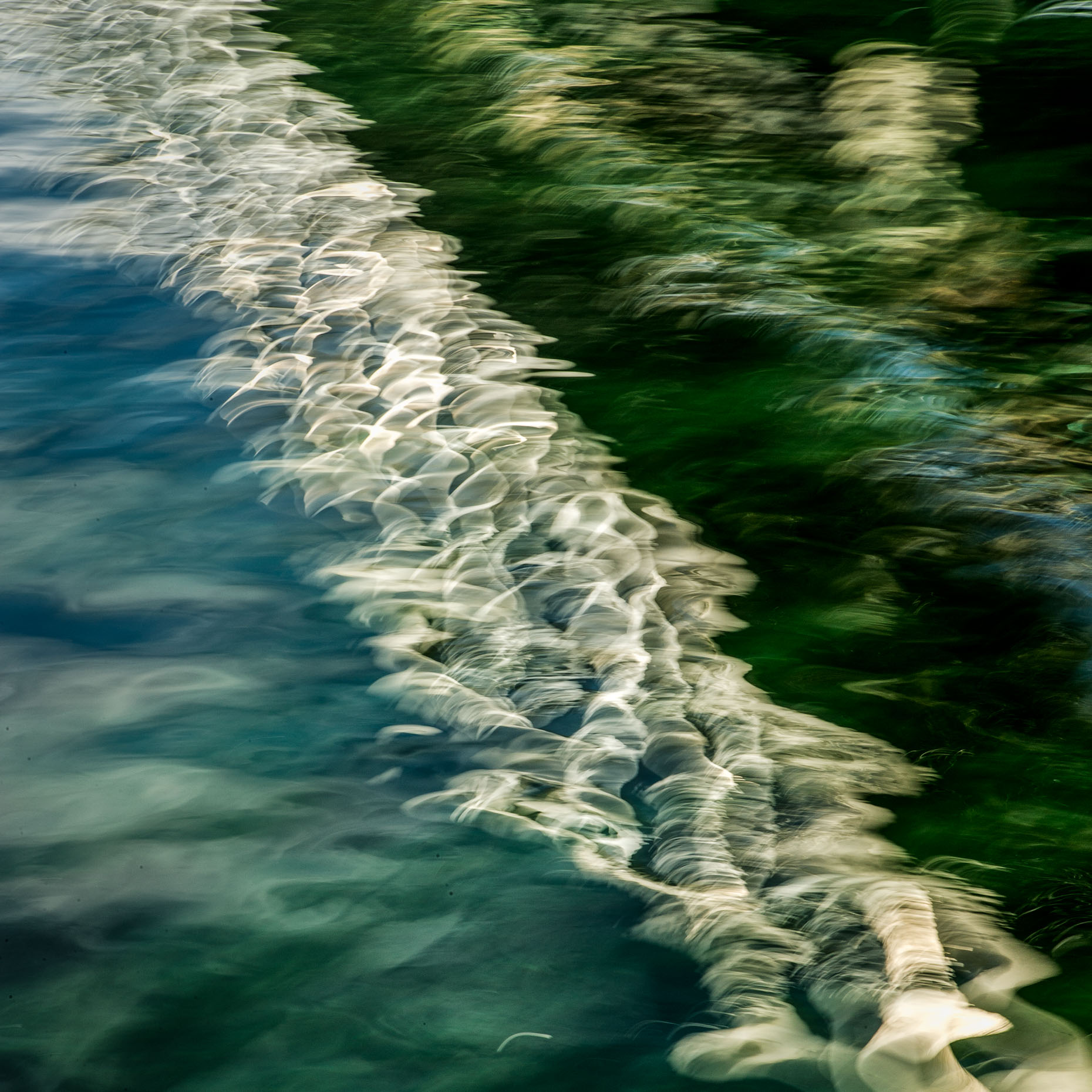20120822_whidbey_4589