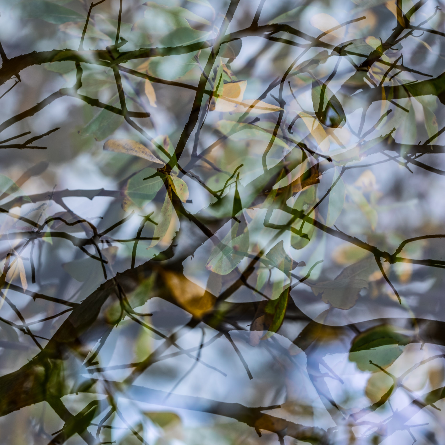 20161112_abtracts_graham_0688