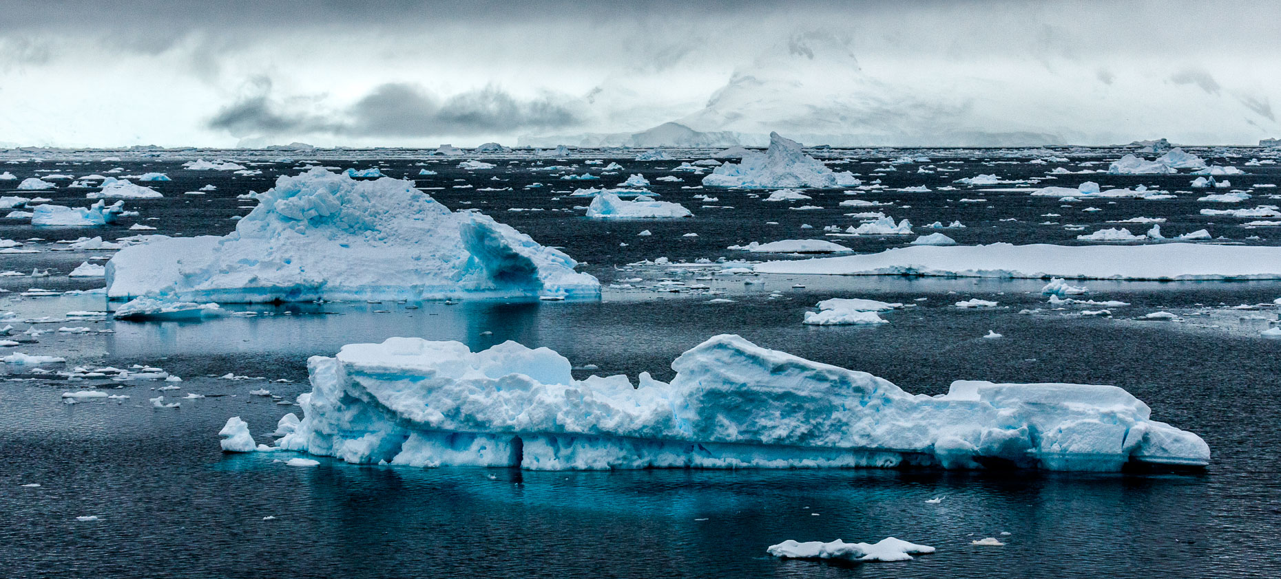 20111204_antarctica_7948