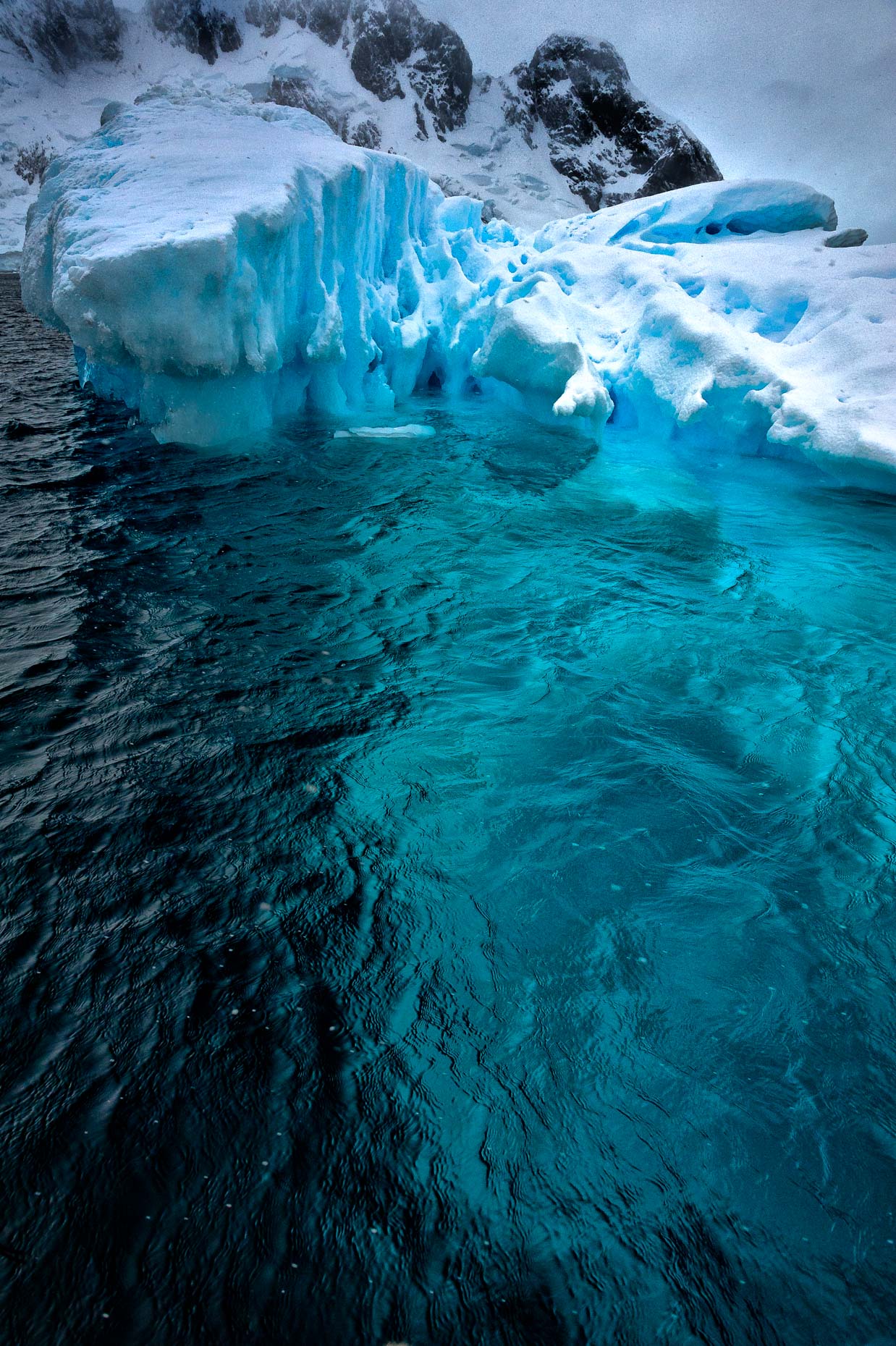 20111206_antarctica_5101