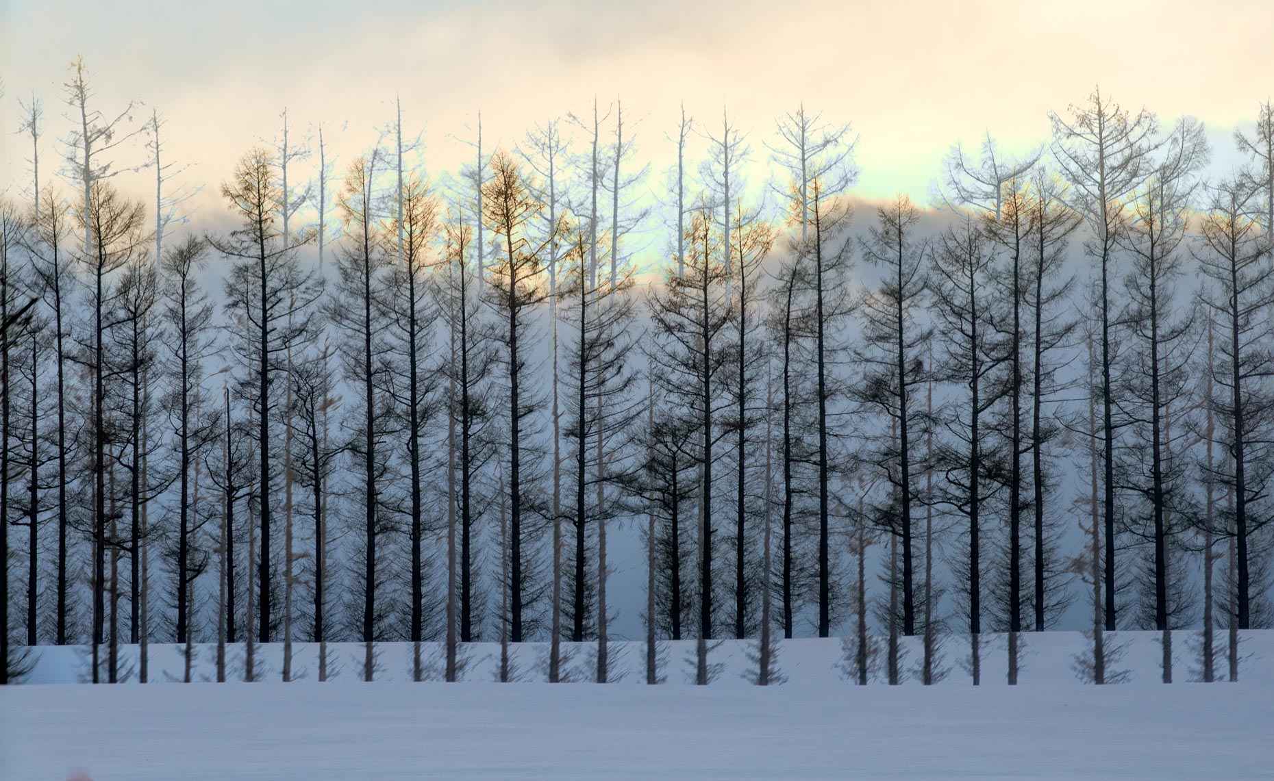 20170111_hokkaido_1102