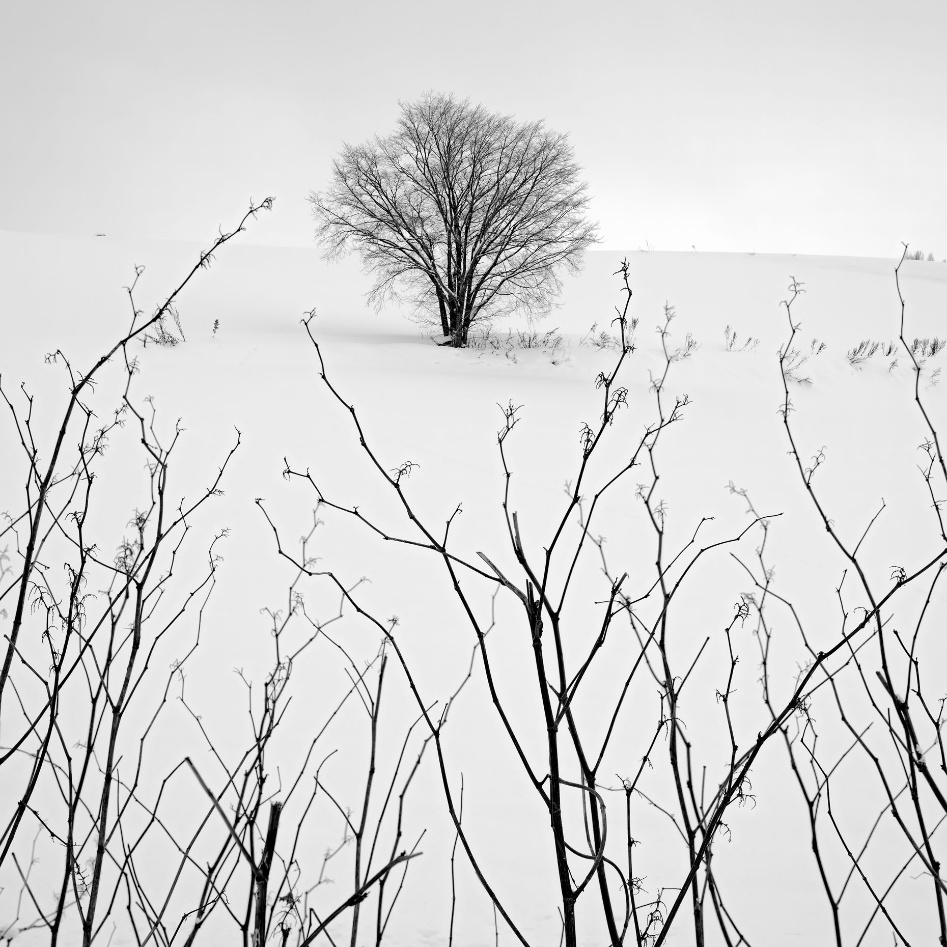 hokkaido-112