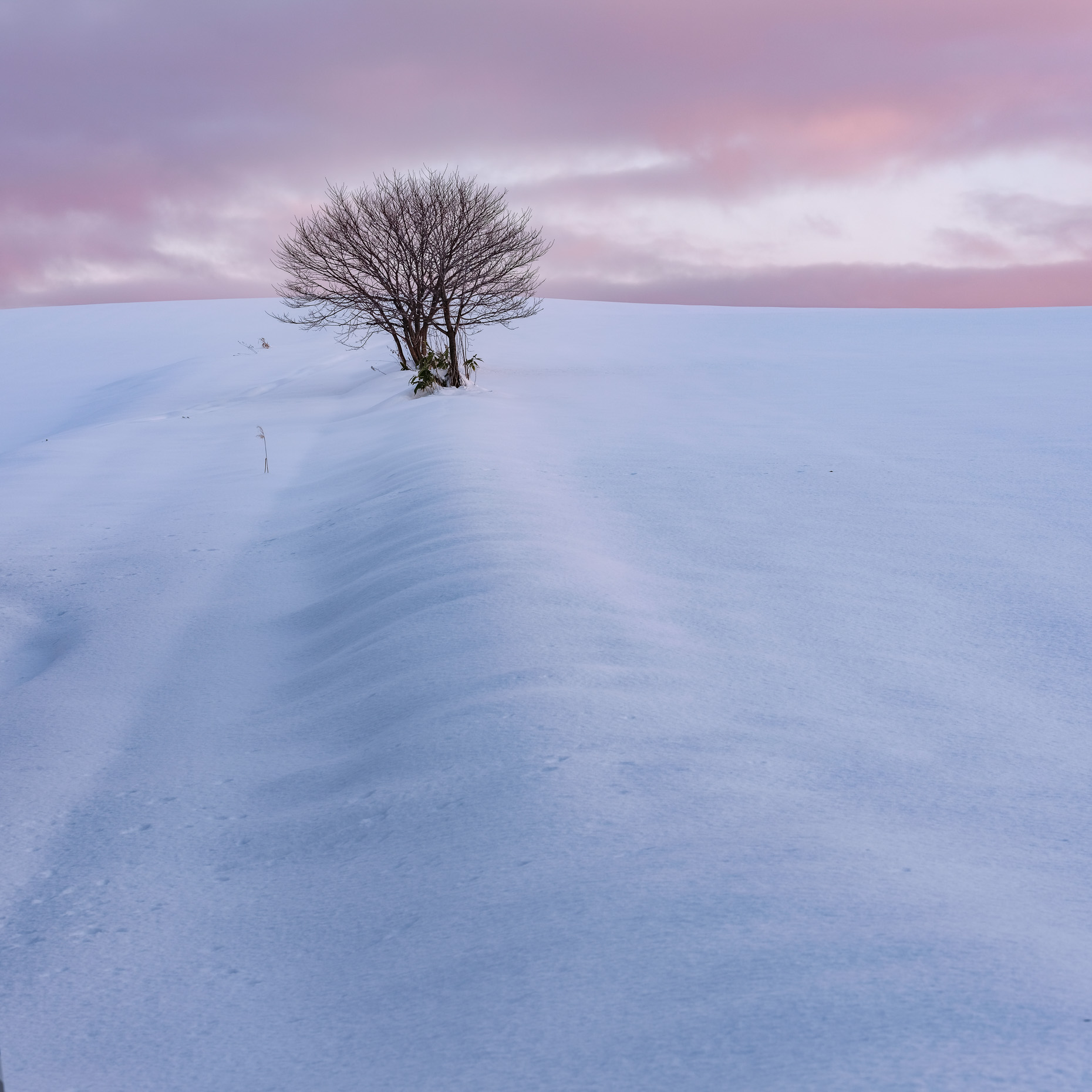 hokkaido-113
