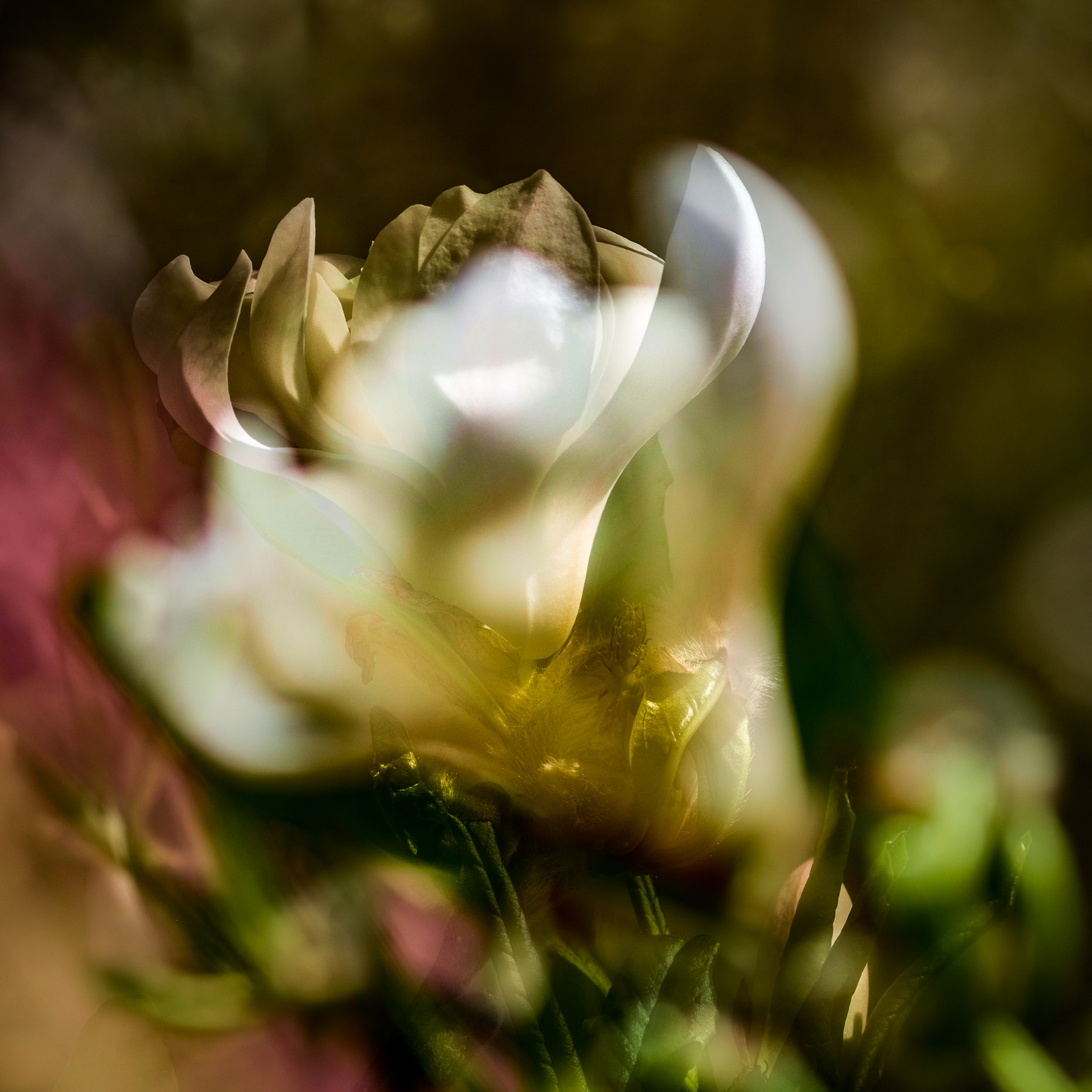 home-garden-2020-102