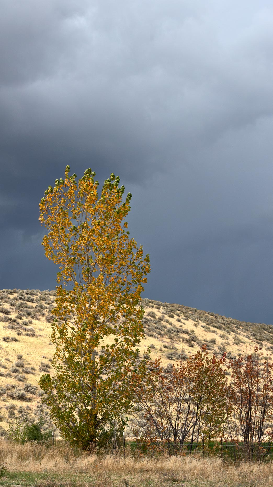 20161005_sun_valley_0578