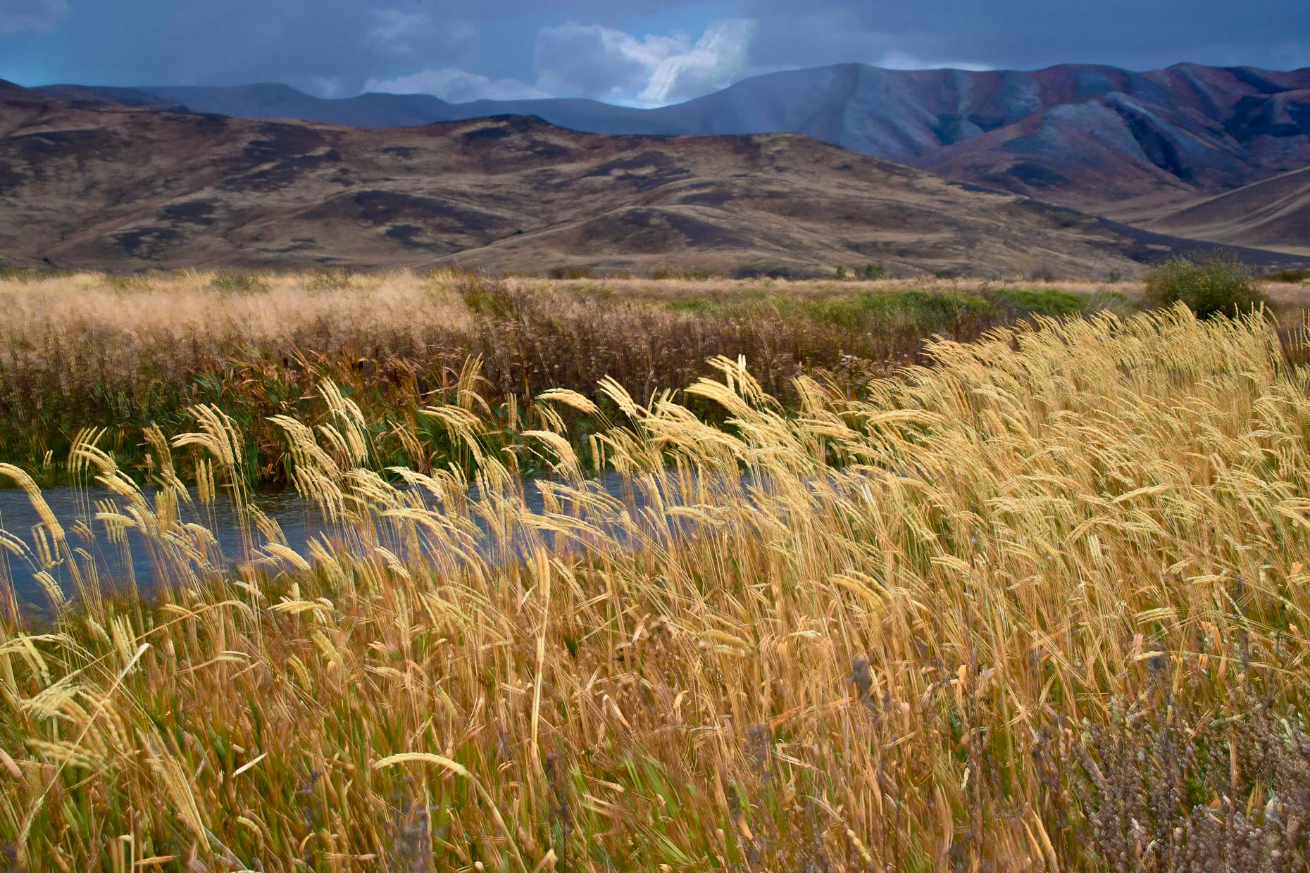 20161005_sun_valley_0737