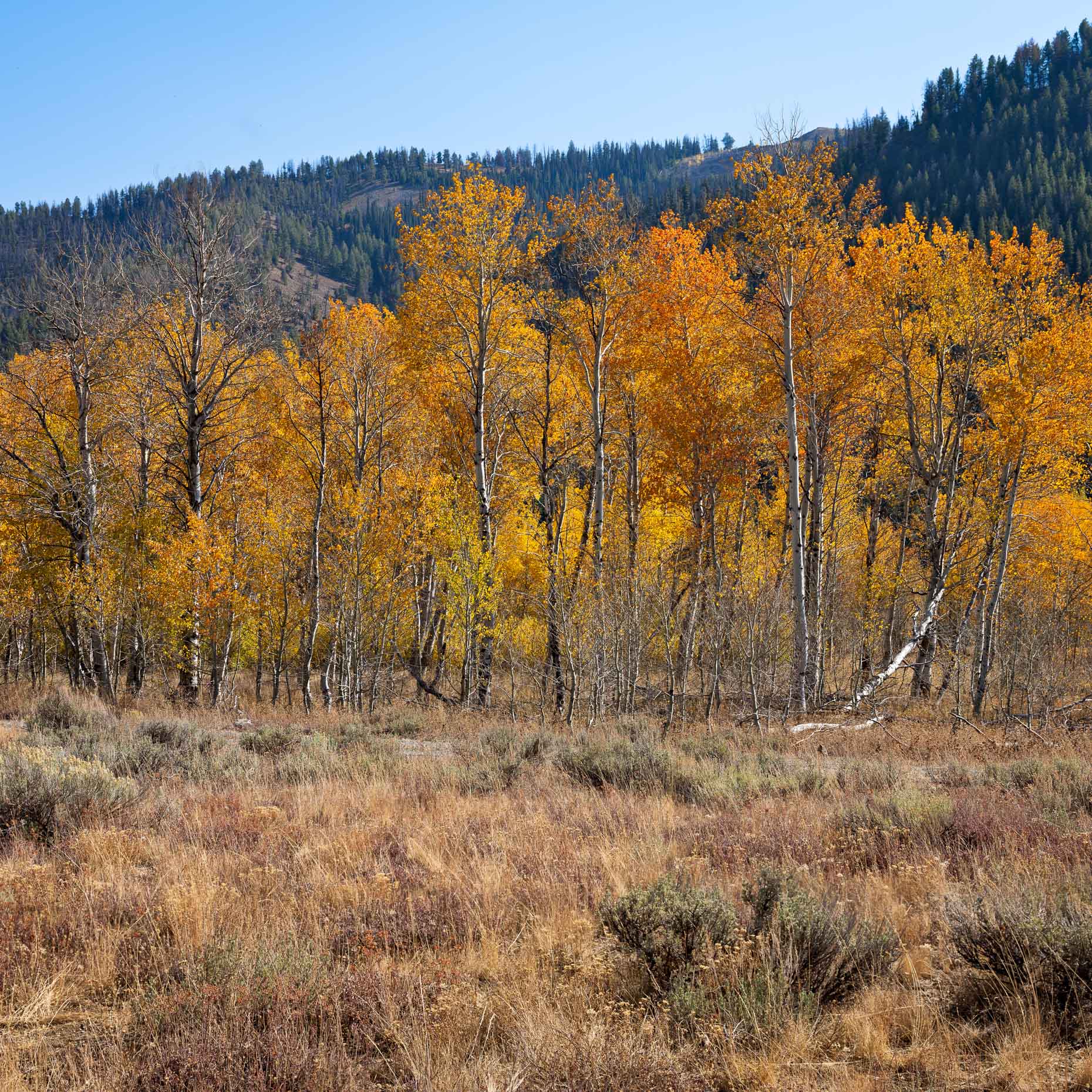 20180928_idaho_0988