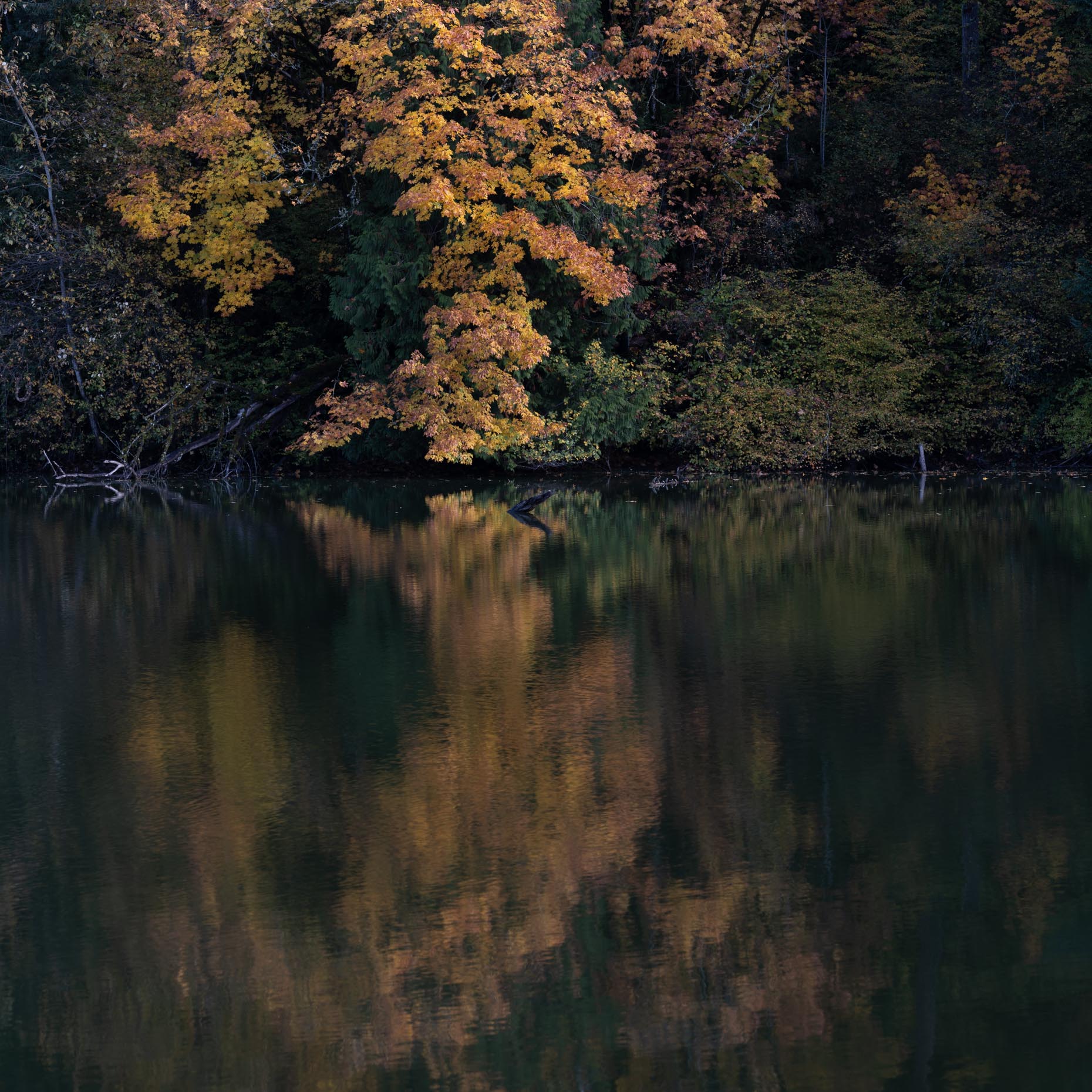 lake-fenwick-22