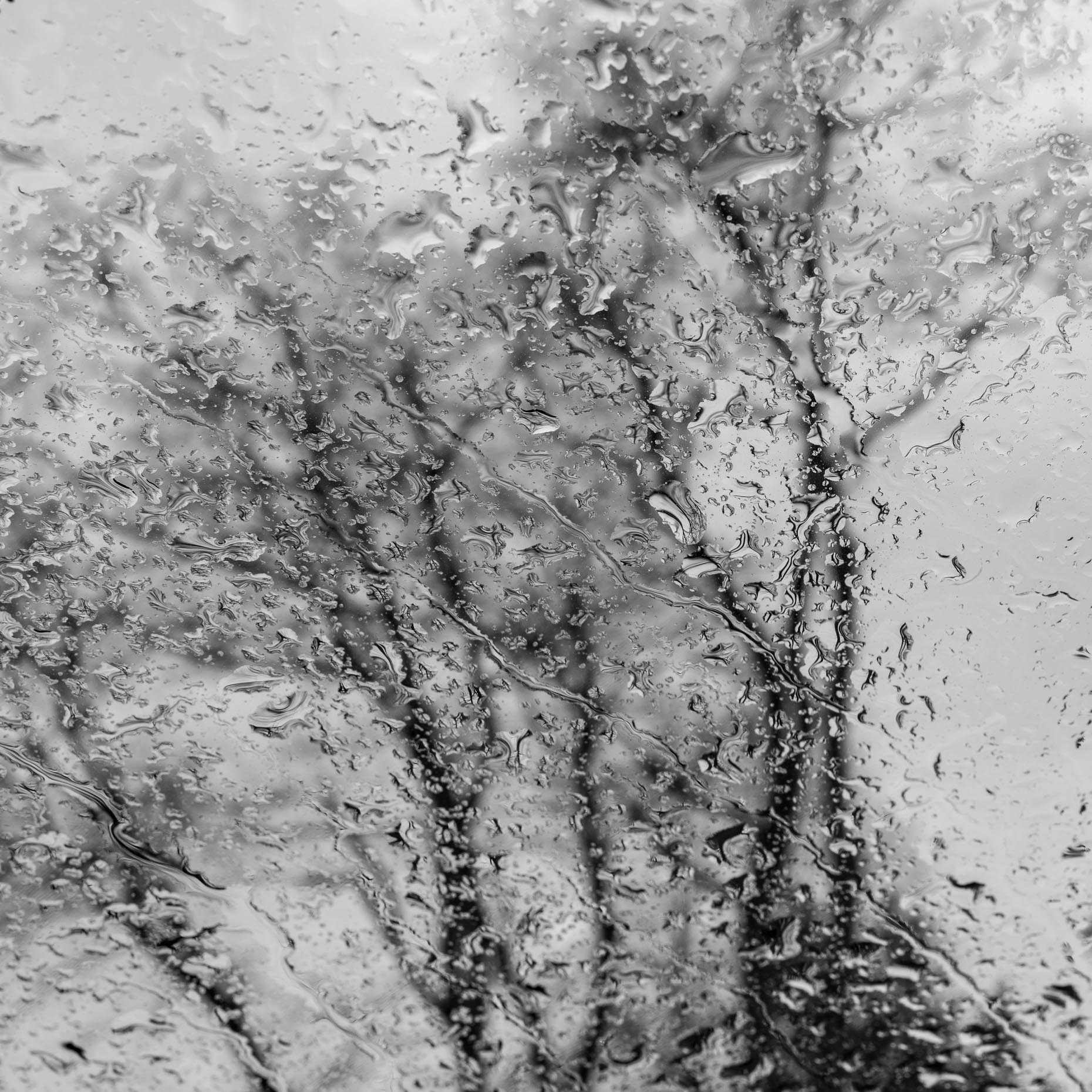monochrome-2021-1-16