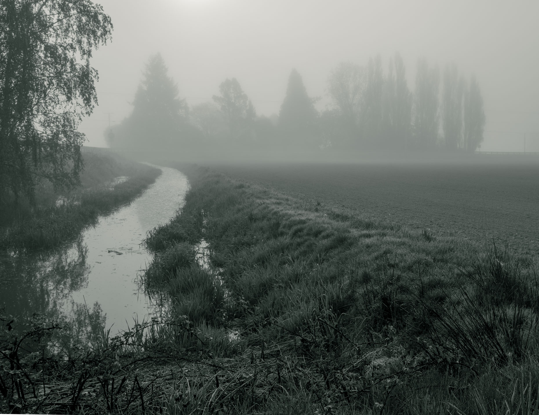 monochrome-2021-1-21