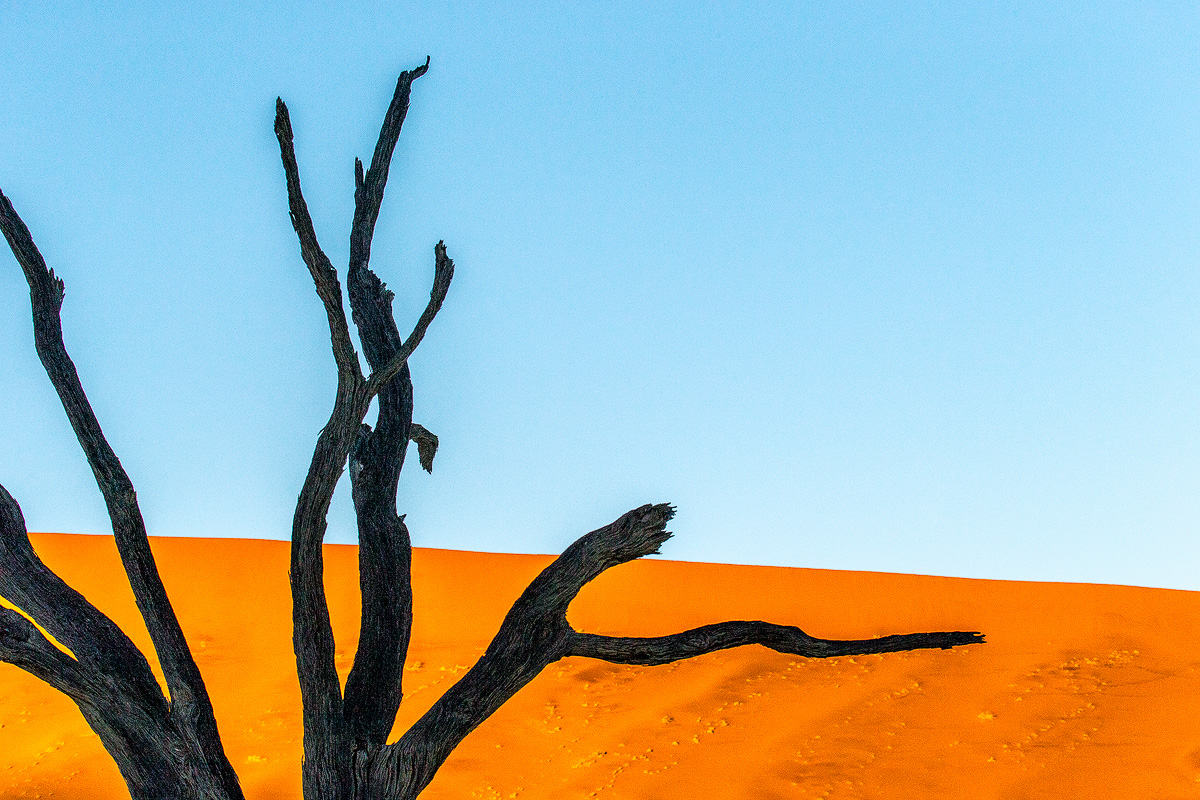 20140403_Namibia_1033