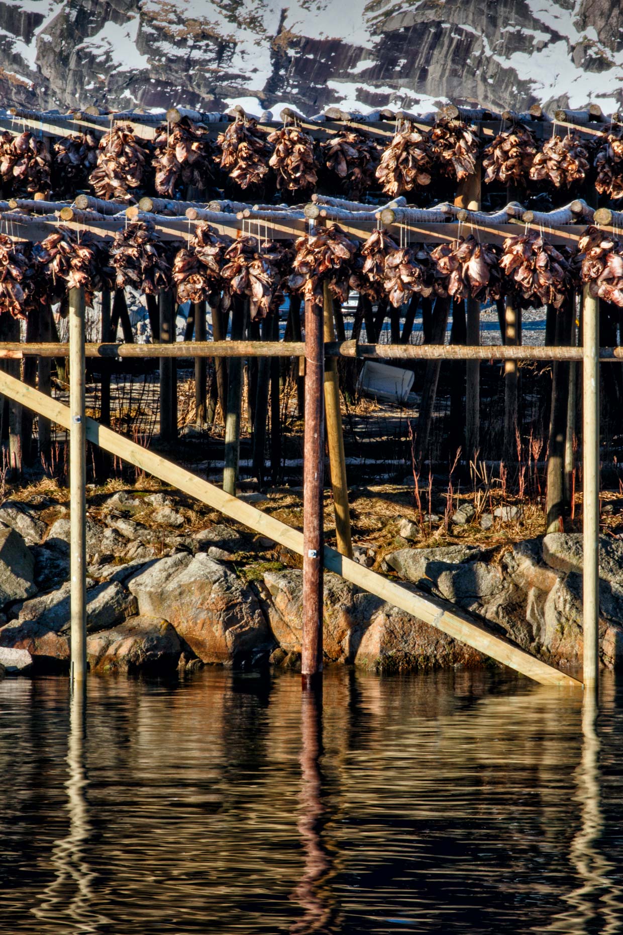 20160222_norway_0694