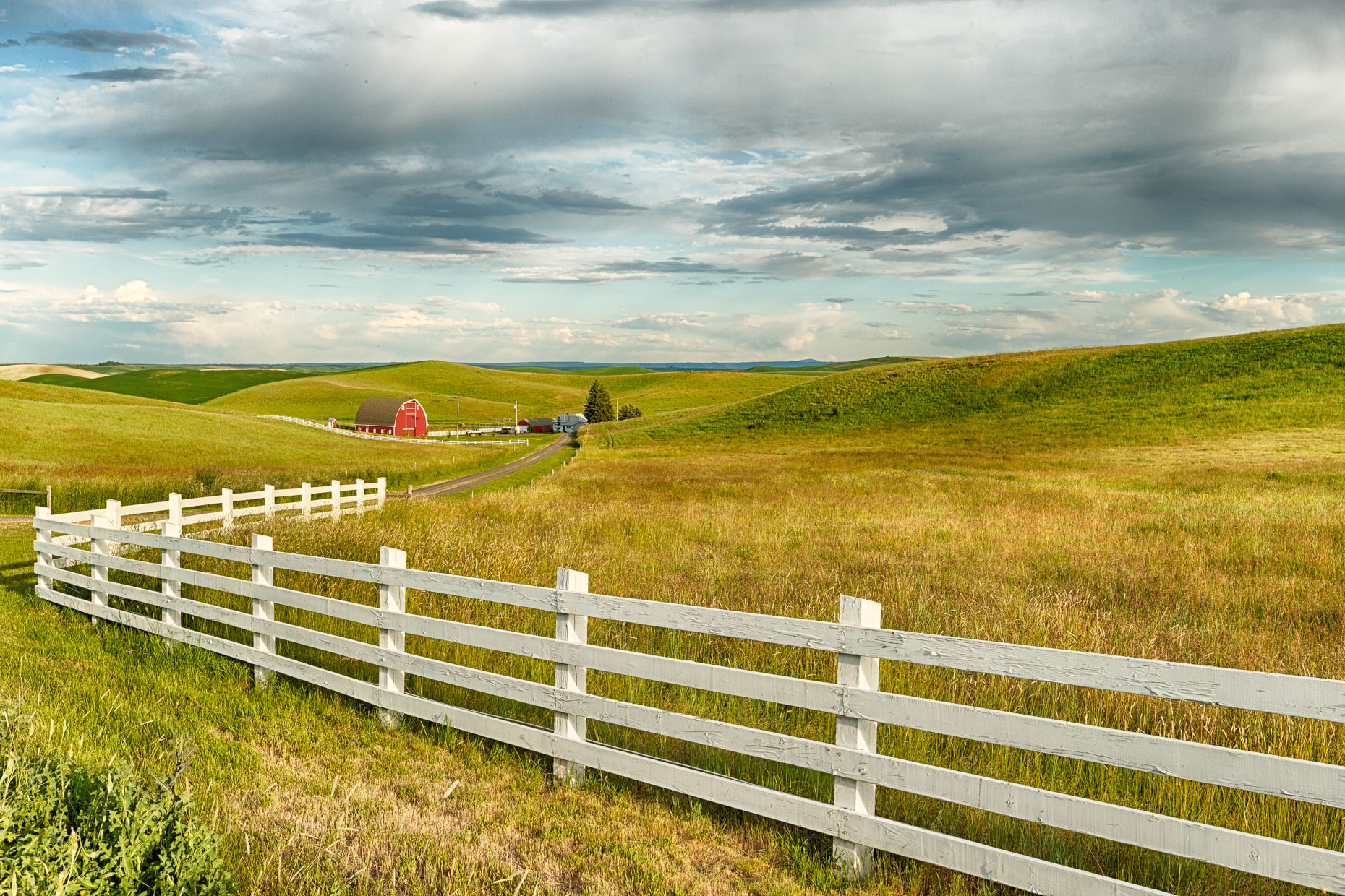 palouse-114