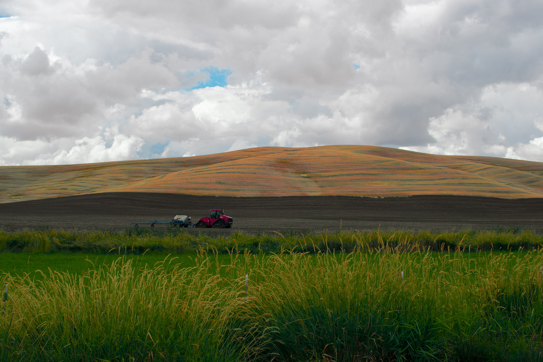 20160809_palouse_0967