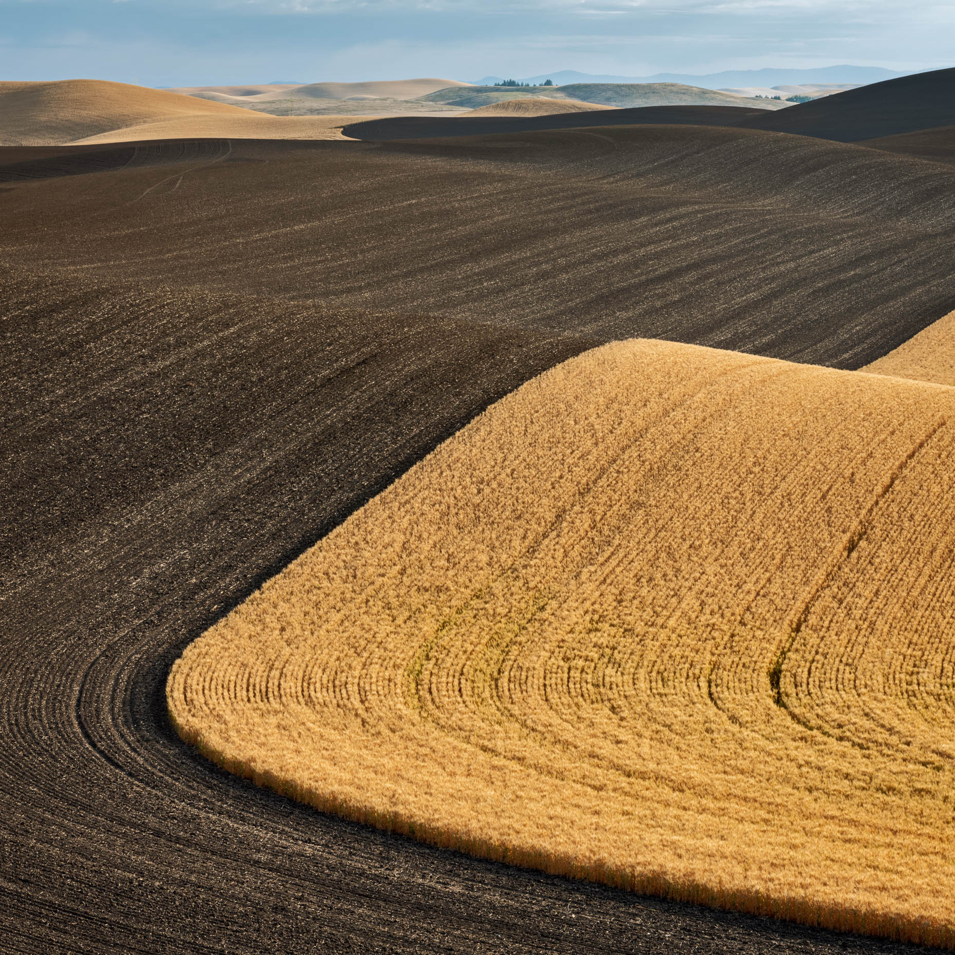 20190817_palouse_0544