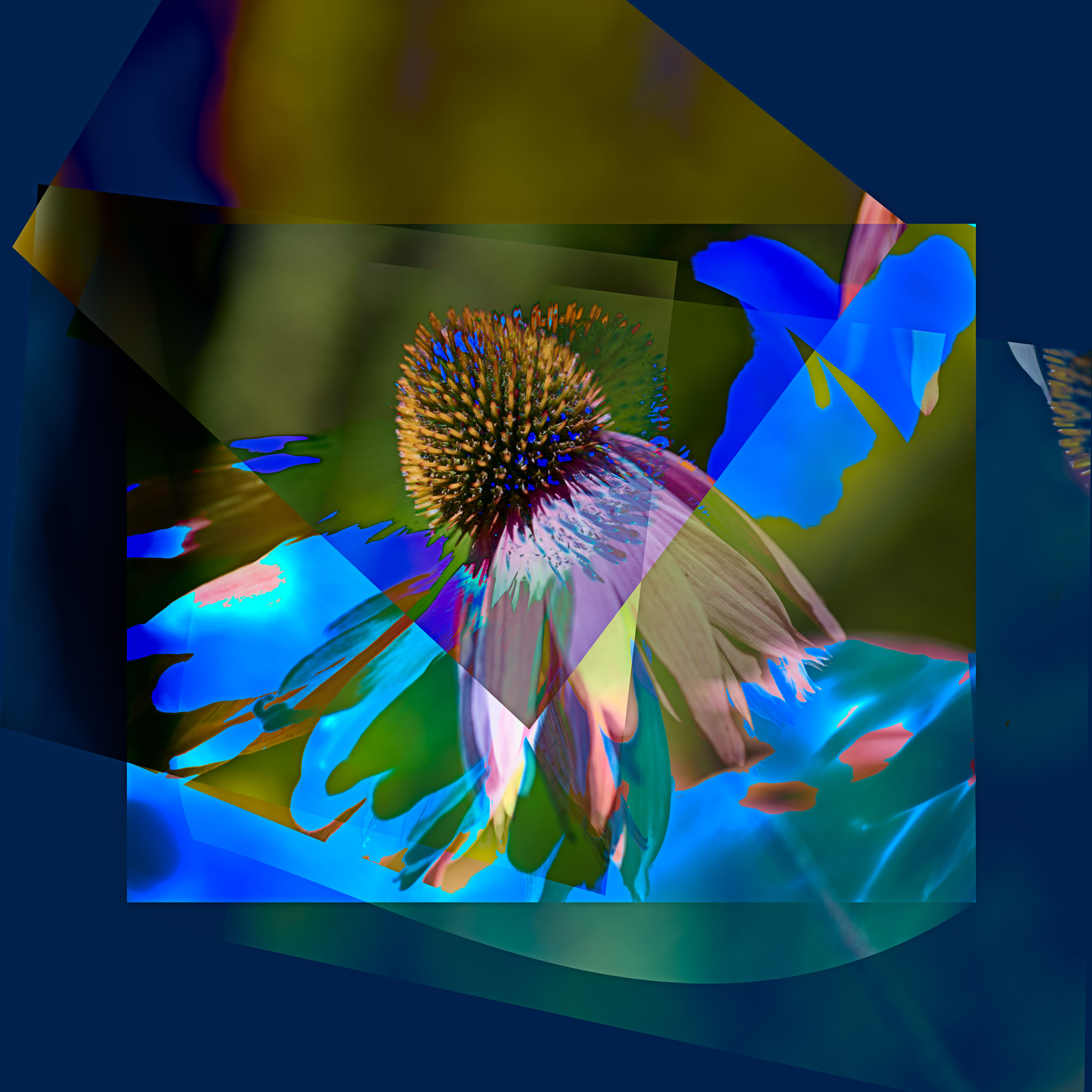 pandemic-collage-102