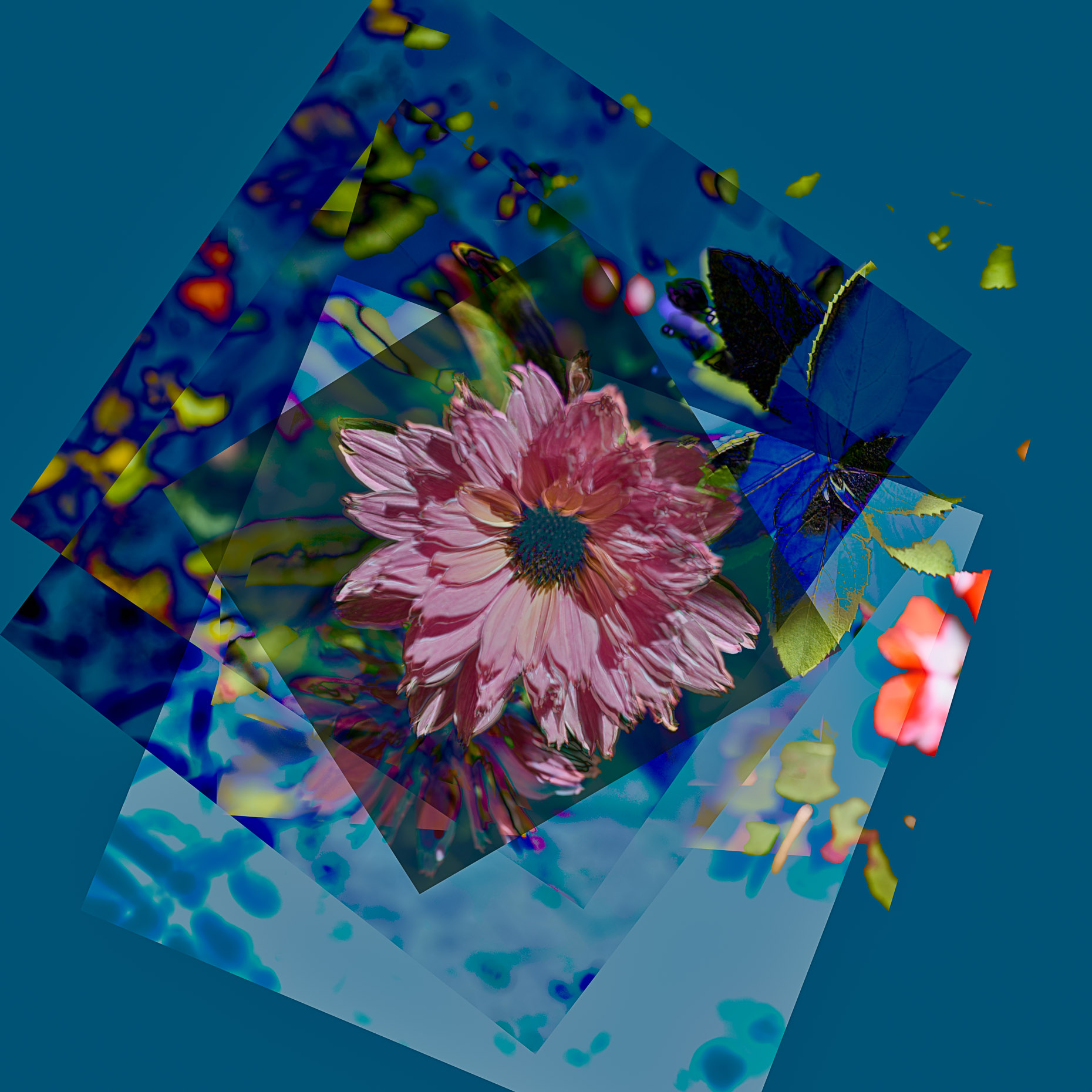 pandemic-collage-105