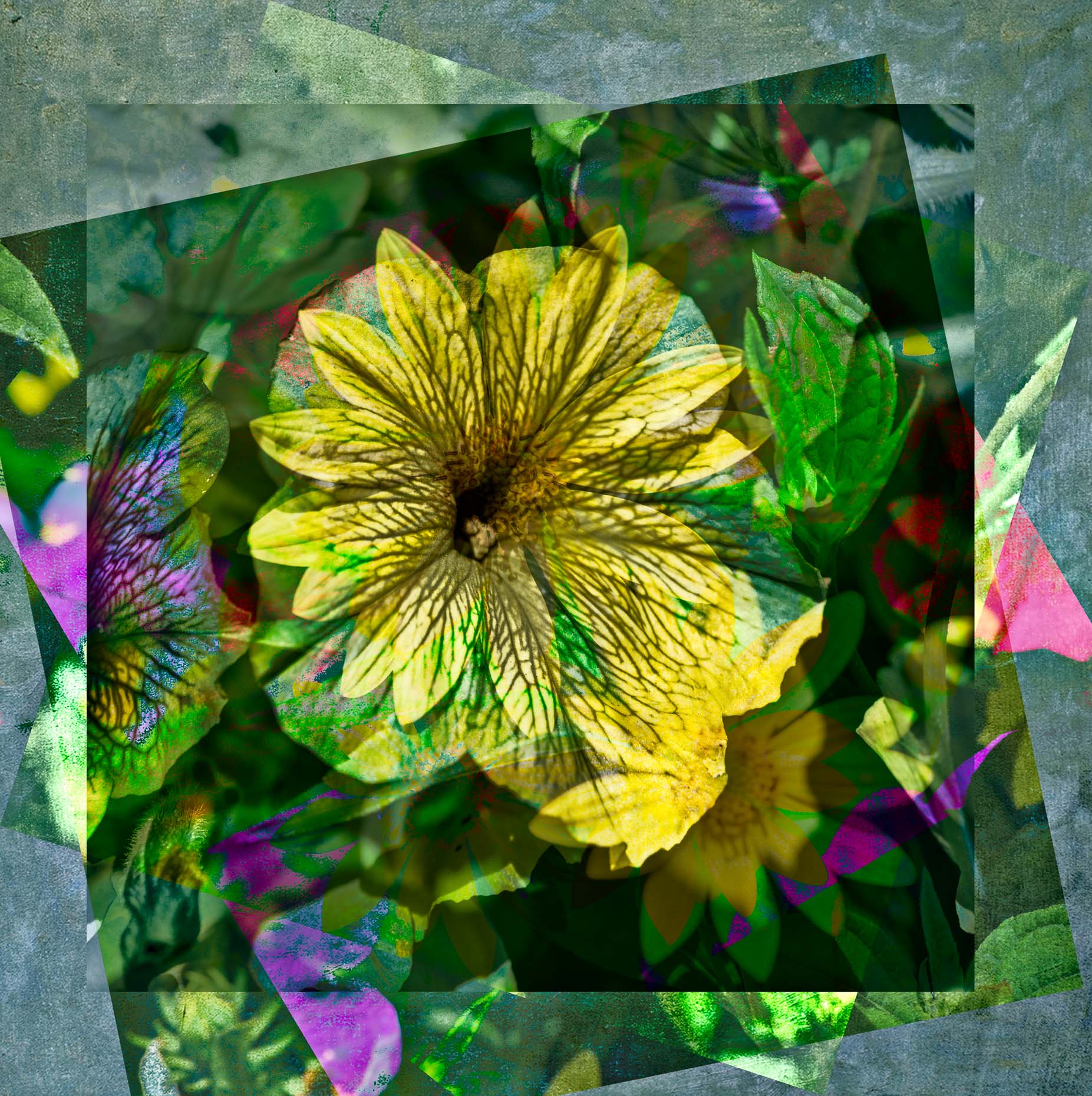pandemic-collage-106