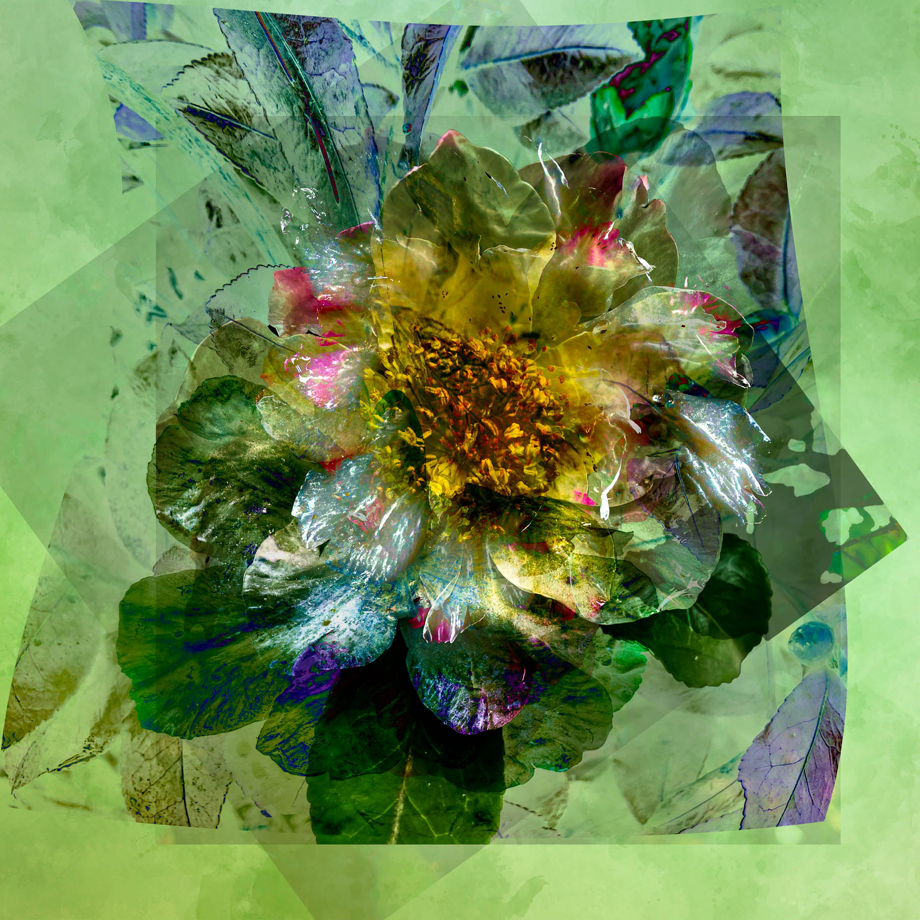 pandemic-collage-117